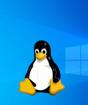 TuxTyping